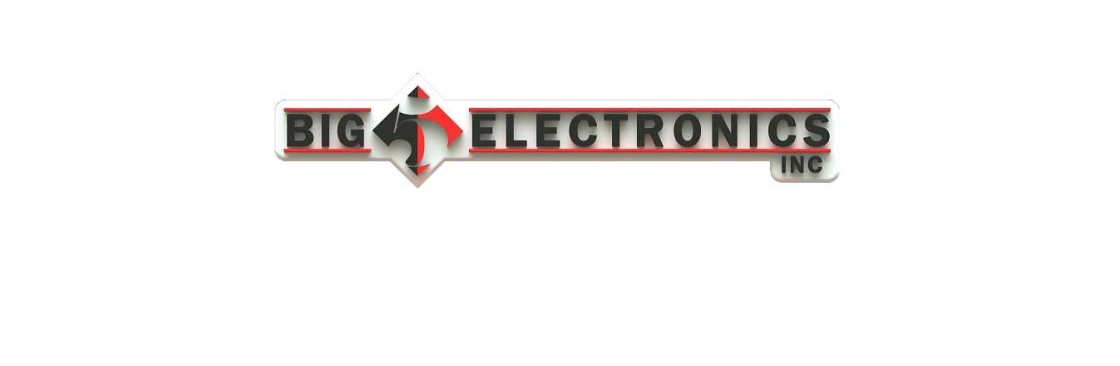 Big 5 Electronics Cover Image