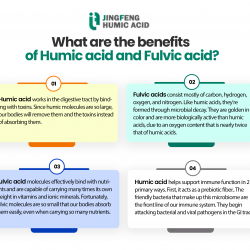 What are the benefits of Humic acid and Fulvic acid? | Visual.ly