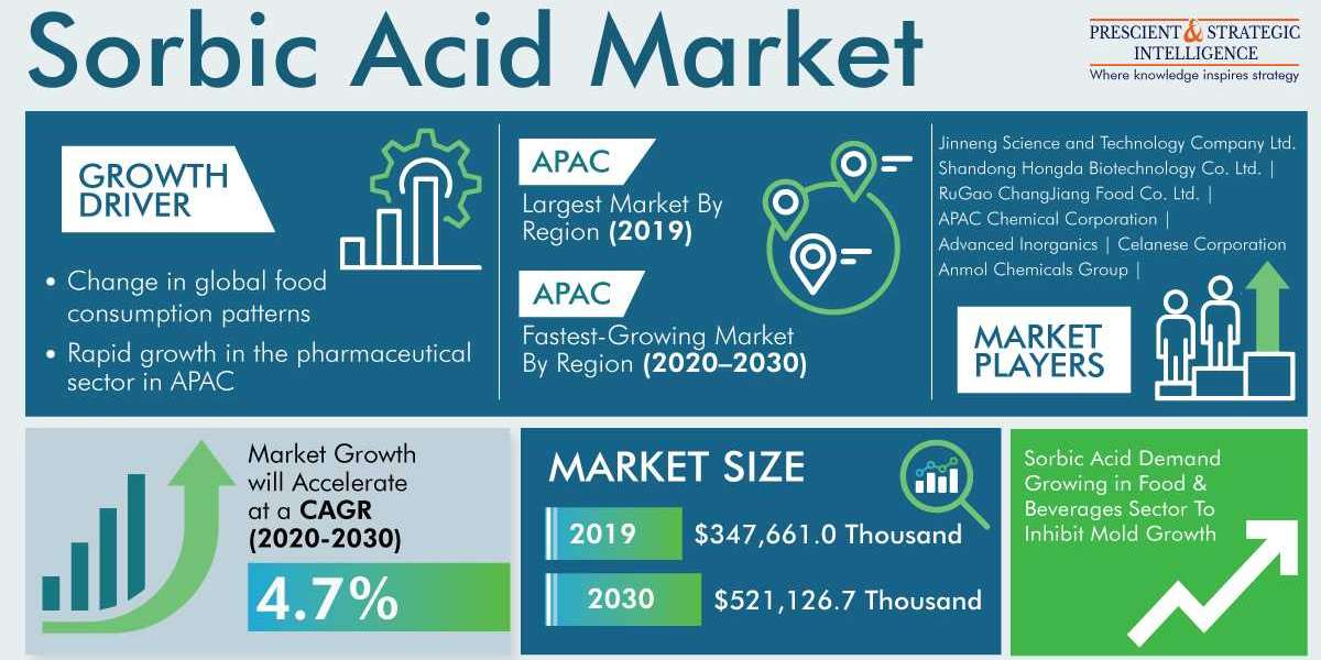 Global Sorbic Acid Industry Growth, Development and Demand Forecast to 2030