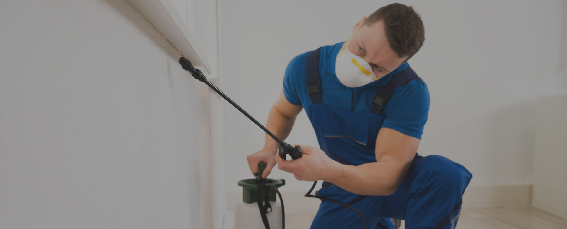 Pest Control Services in Baldwin | A1 Howie’s Exterminating