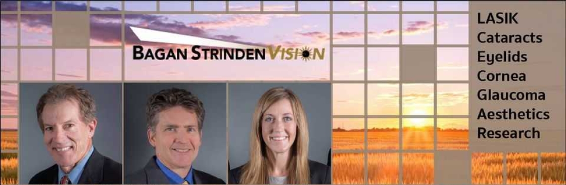 Bagan Strinden Vision Cover Image