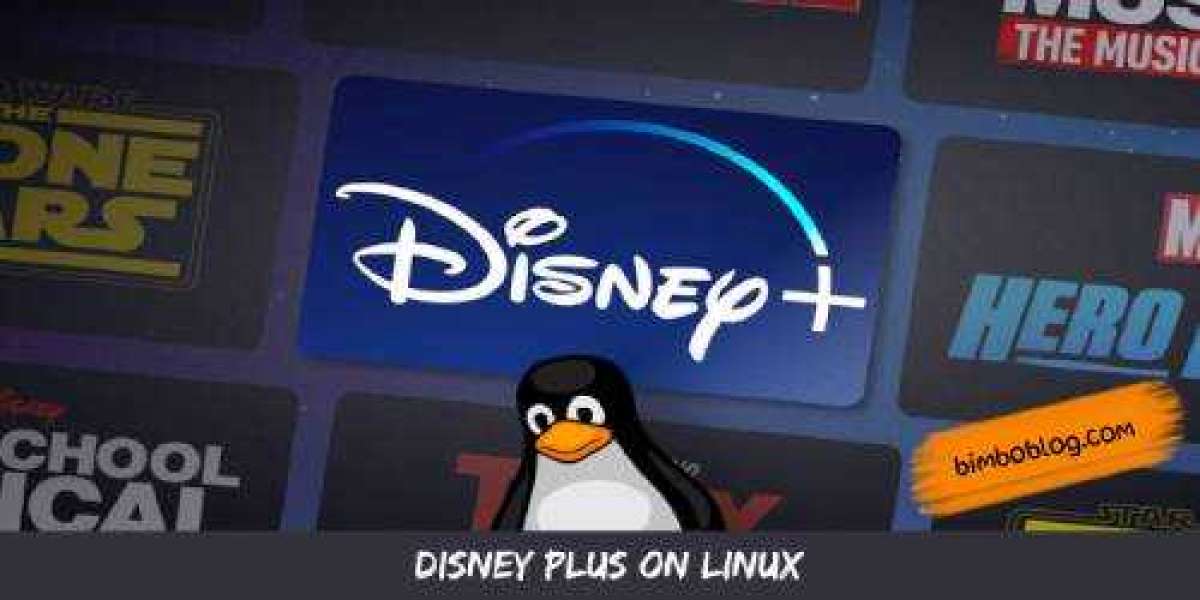 How to Watch Disney Plus on Linux?