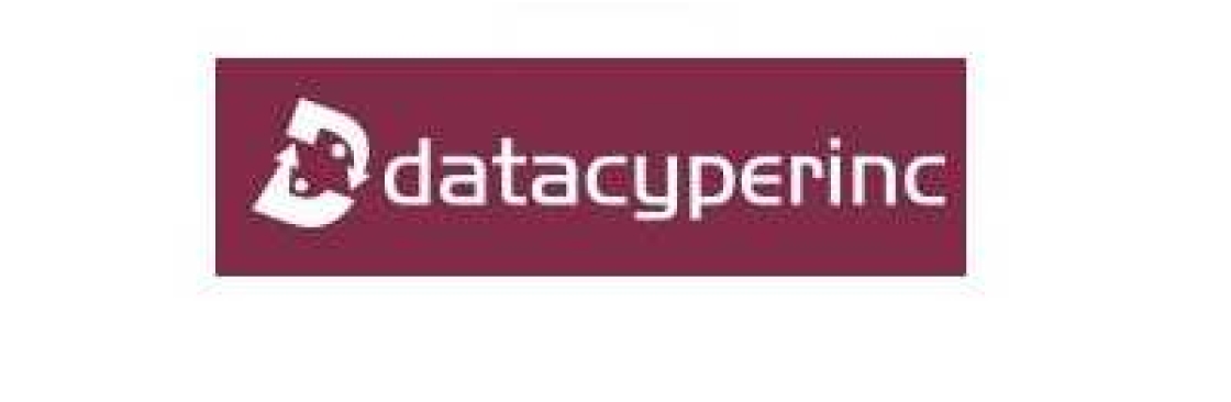 Data Cyper Inc Cover Image