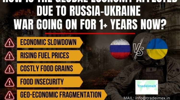 How Is The Global Economy Affected Due to Russia-Ukraine War Going On For 1+ Years Now? - TradeImeX Blog | Global Trade market information