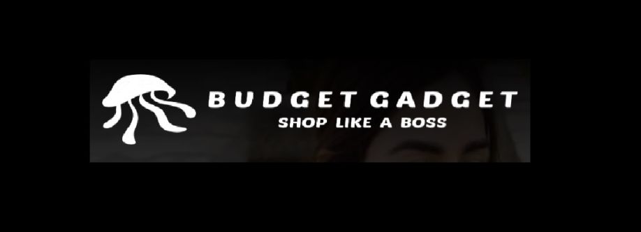 Budget Gadget Cover Image