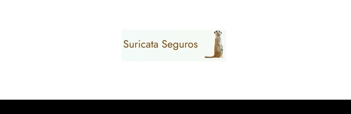 Suricata Seguros Cover Image