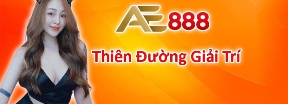 AE888 Fund Cover Image