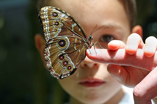 Habitats of Nature and Creatures