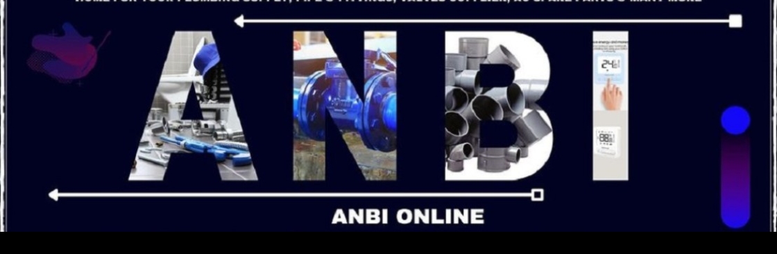 Anbi Solutions Cover Image