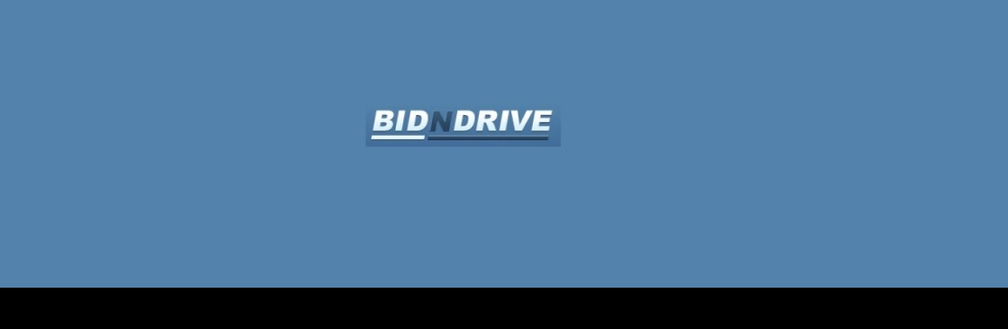 Bidn drive Cover Image