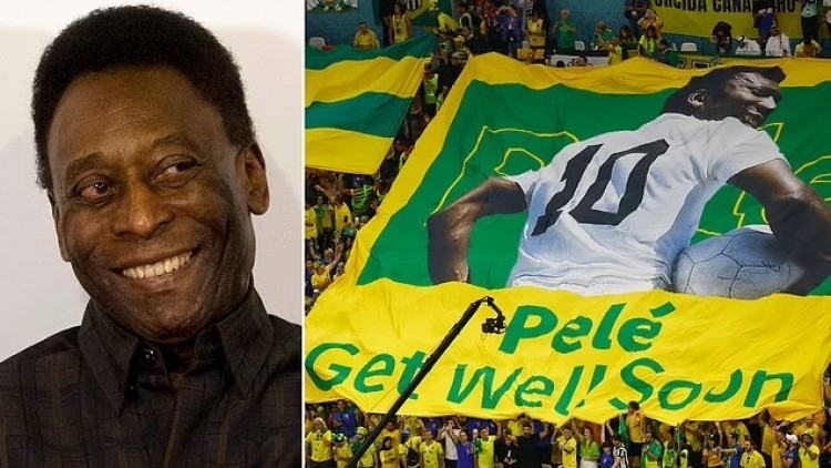 A Pele O Órgão Fascinante que nos Protege e Define a Nossa Aparência - Multicanais TV