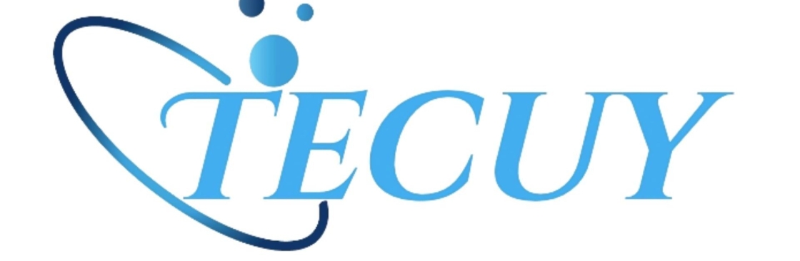 Tecuy Inc Cover Image