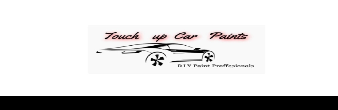 BCS Auto Paints Cover Image