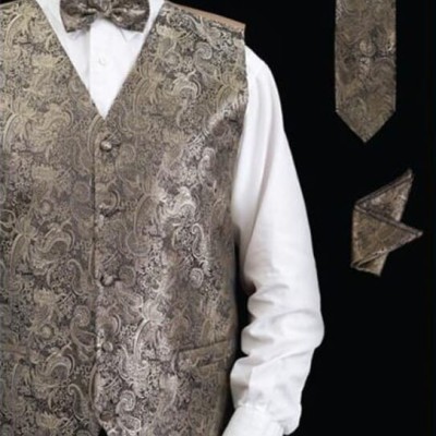 Men's Neck Ties - Mens Dress Tie - Trendy Mens Ties 4 Piece Groomsmen Wedding Vest ~ Waistcoat  Profile Picture