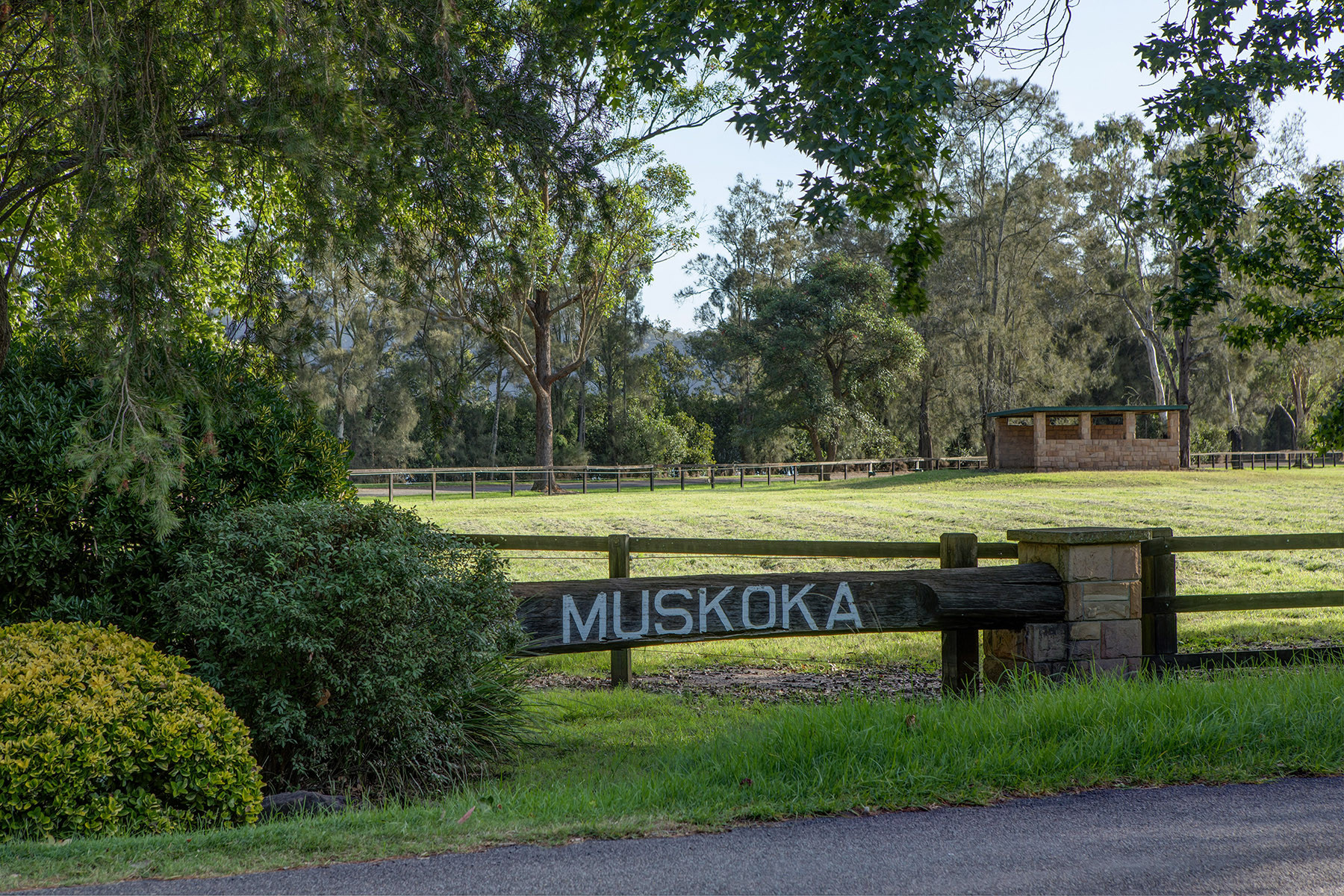 Muskoka Farm | Australia's Premium Agistment Farm for Break in & Pre-training & Spelling