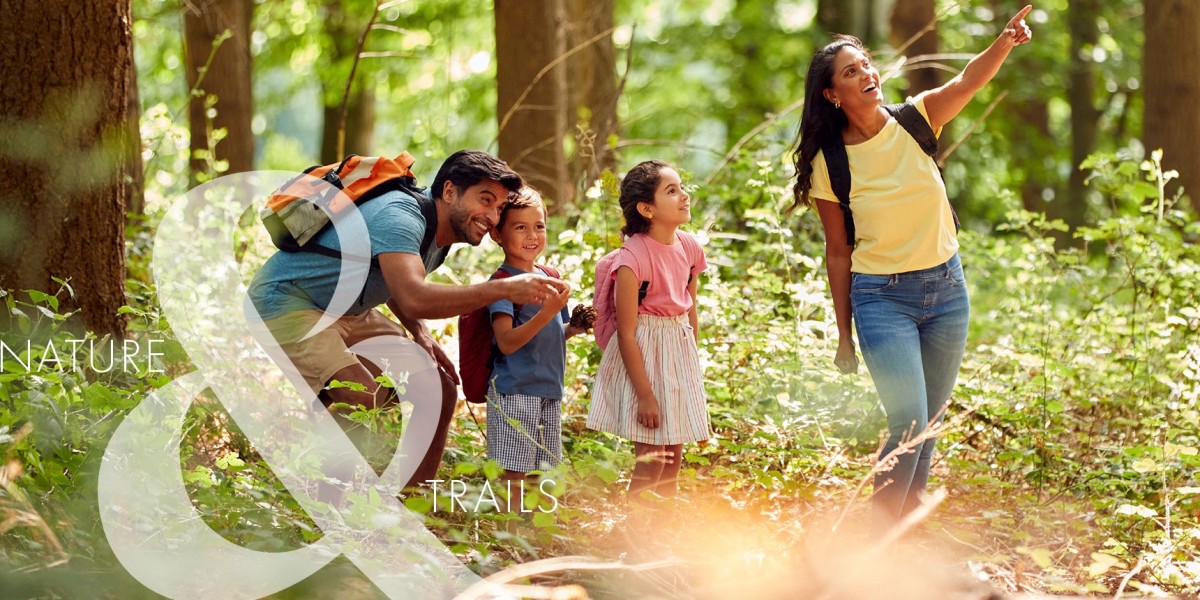 Explore Beautiful River And Sky Homes