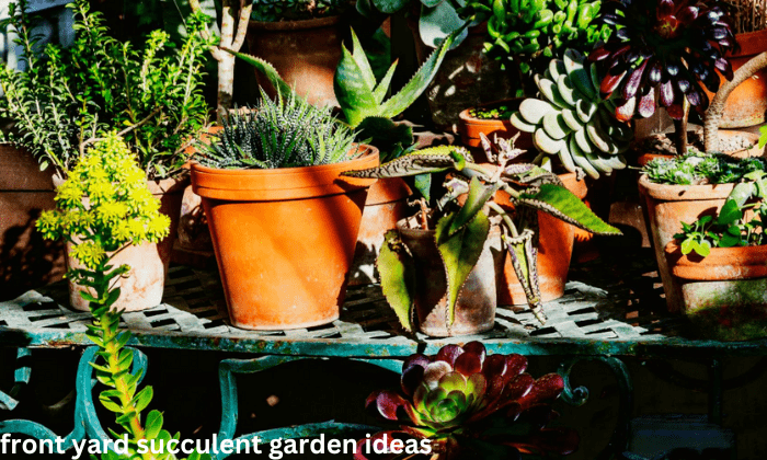 Front Yard Succulent Garden Ideas: Unleash Green Beauty