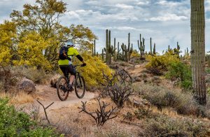 Oro Valley, Pima County, Arizona - ILoveOV.com