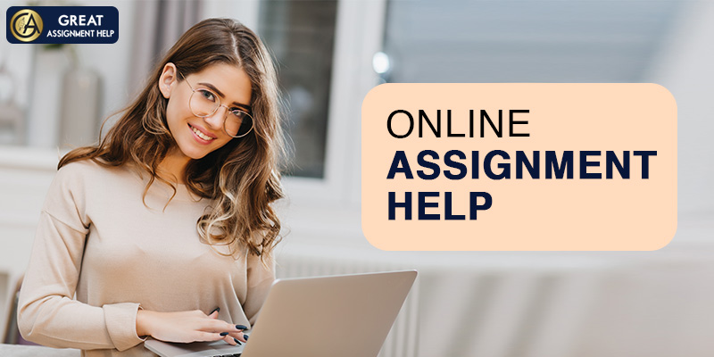 Look For The Right Support From Assignment Help Services