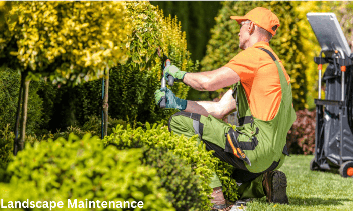 Landscape Maintenance: Elevate Your Property