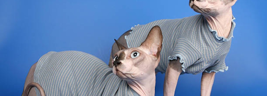 sphynx world Cover Image