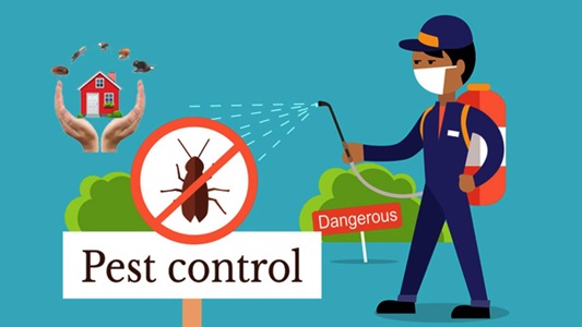 Four Seasonal Pest Control Tips for Garland Homeowners Remember - ? ??????? ?