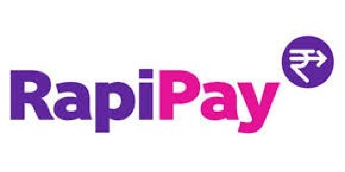 Rapipay Insurance: Fintech Firm Online Yojana Portal