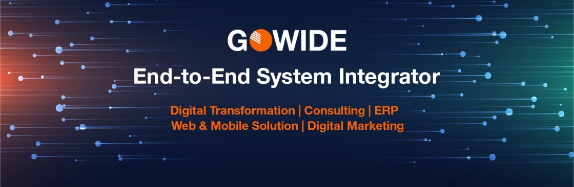 GoWide Solutions Cover Image