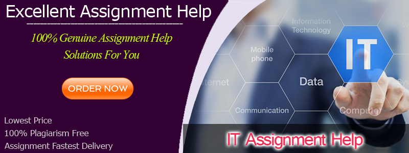 Professional IT Assignment Help Service In Australia