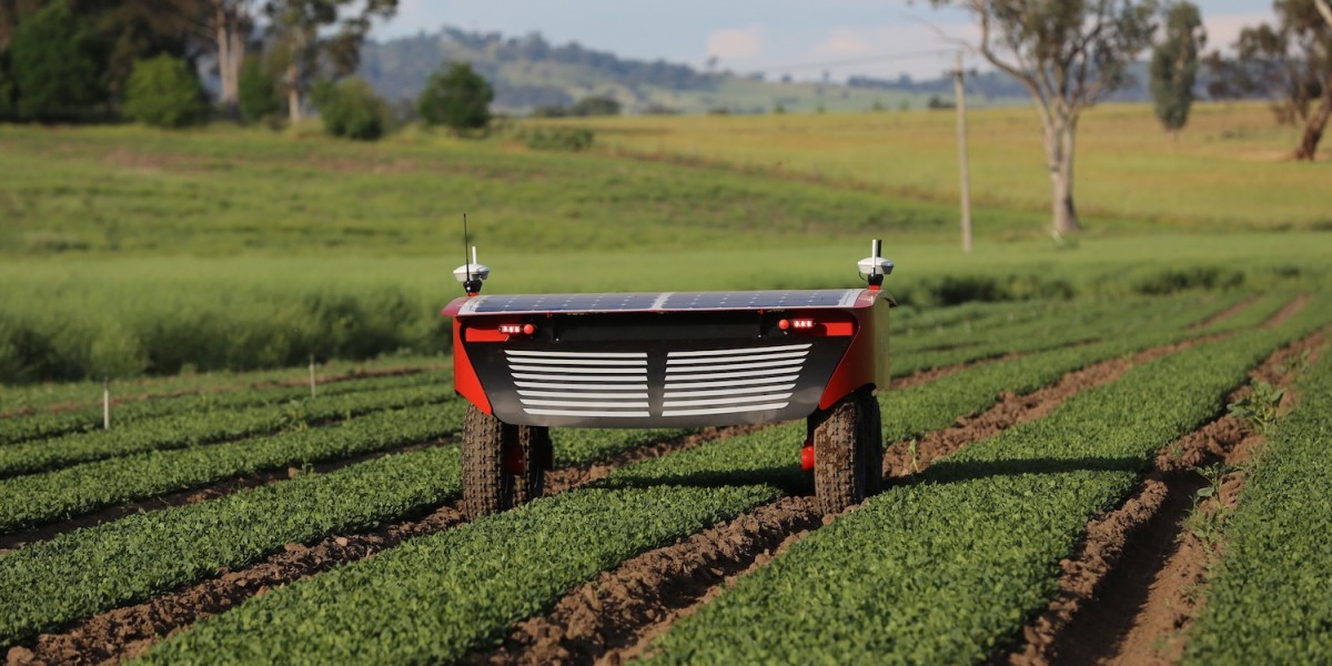 Autonomous Vegetable Weeding Robots Market Demand is driven by Increasing Labor Costs