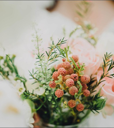 Alfriston Gardens | A stunning East Sussex Wedding Venue barns