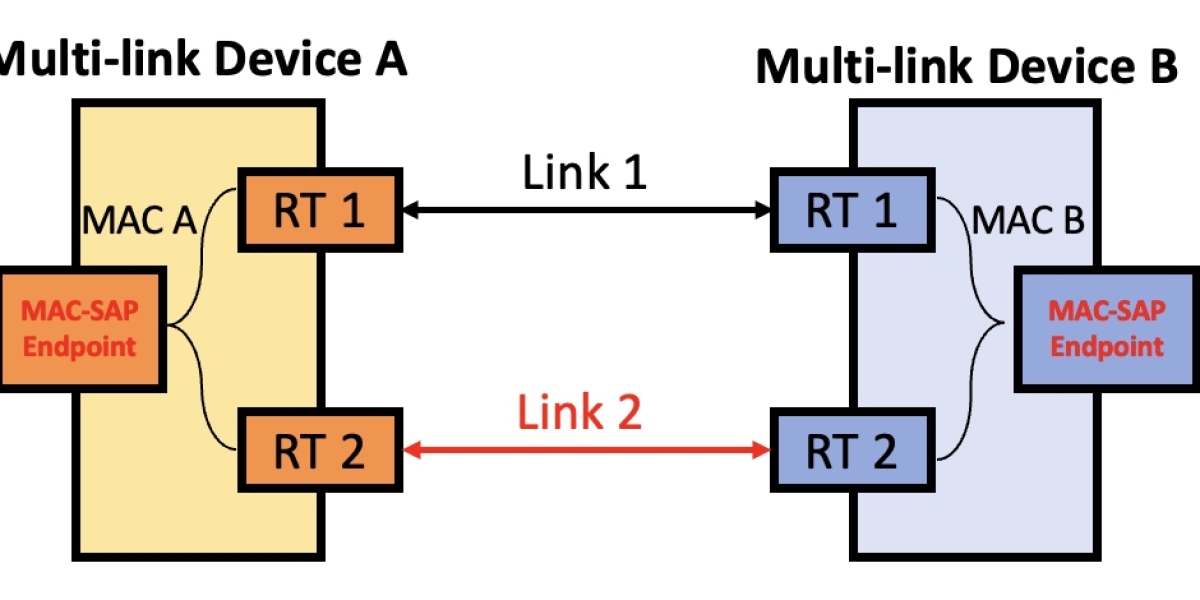 Demystifying MLO: Exploring Multiple Meanings