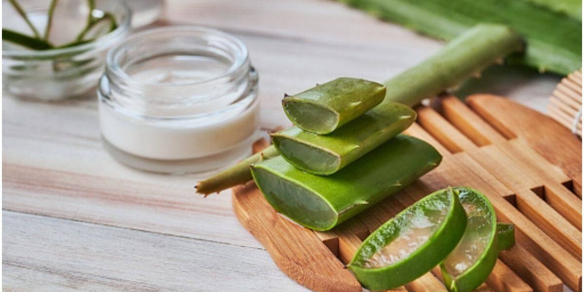 How Is Aloe Vera Gel Used? Advantages.