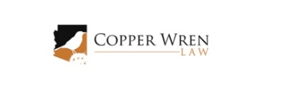 Copper Wren Law Cover Image