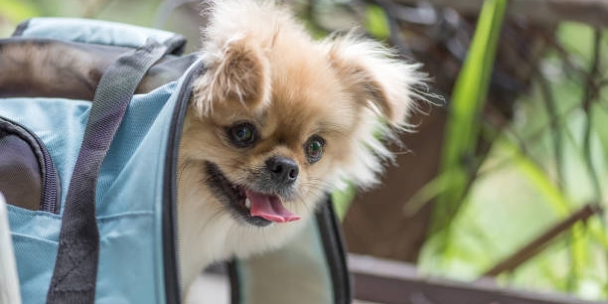 The Convenience of a Flight Nanny for Pets: Ensuring Your Furry Friend's Safe Journey