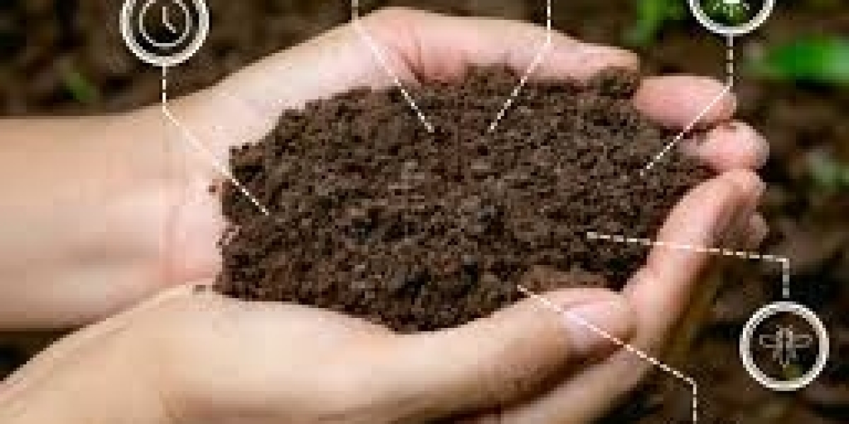 Humic Acid Market Share, Report and Industry Growth Trends, 2024-2032