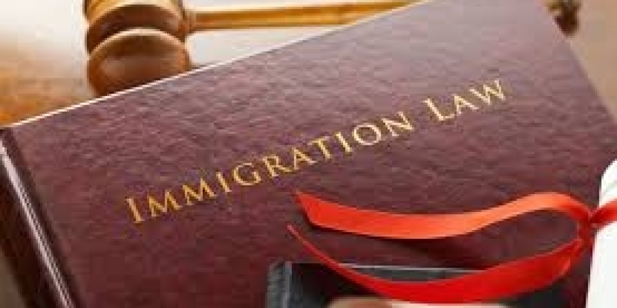 Navigating Immigration: The Vital Role of Immigration Solicitors