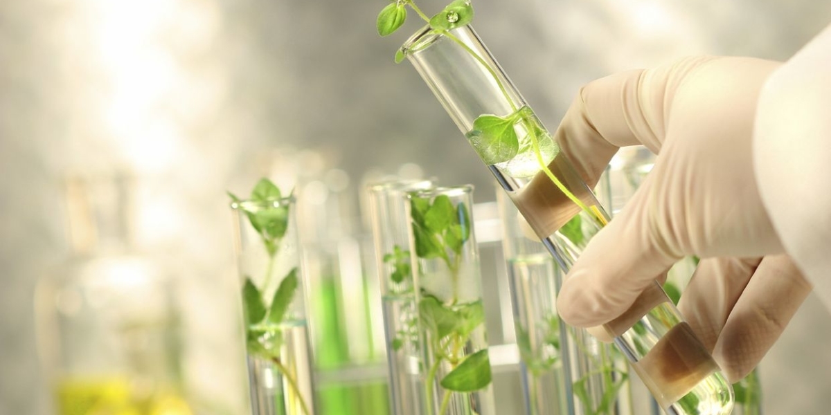 Organic Chemical Industry Analysis Growth Opportunities and Market Trends