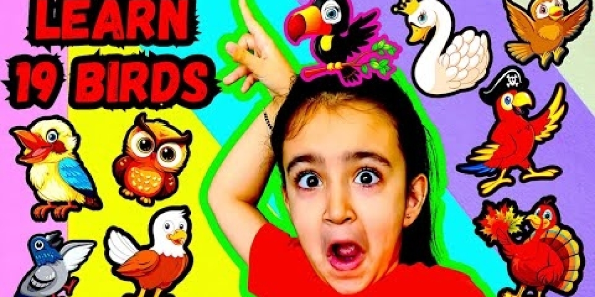 Chirp and Learn: Amy's Birds for Kids Song