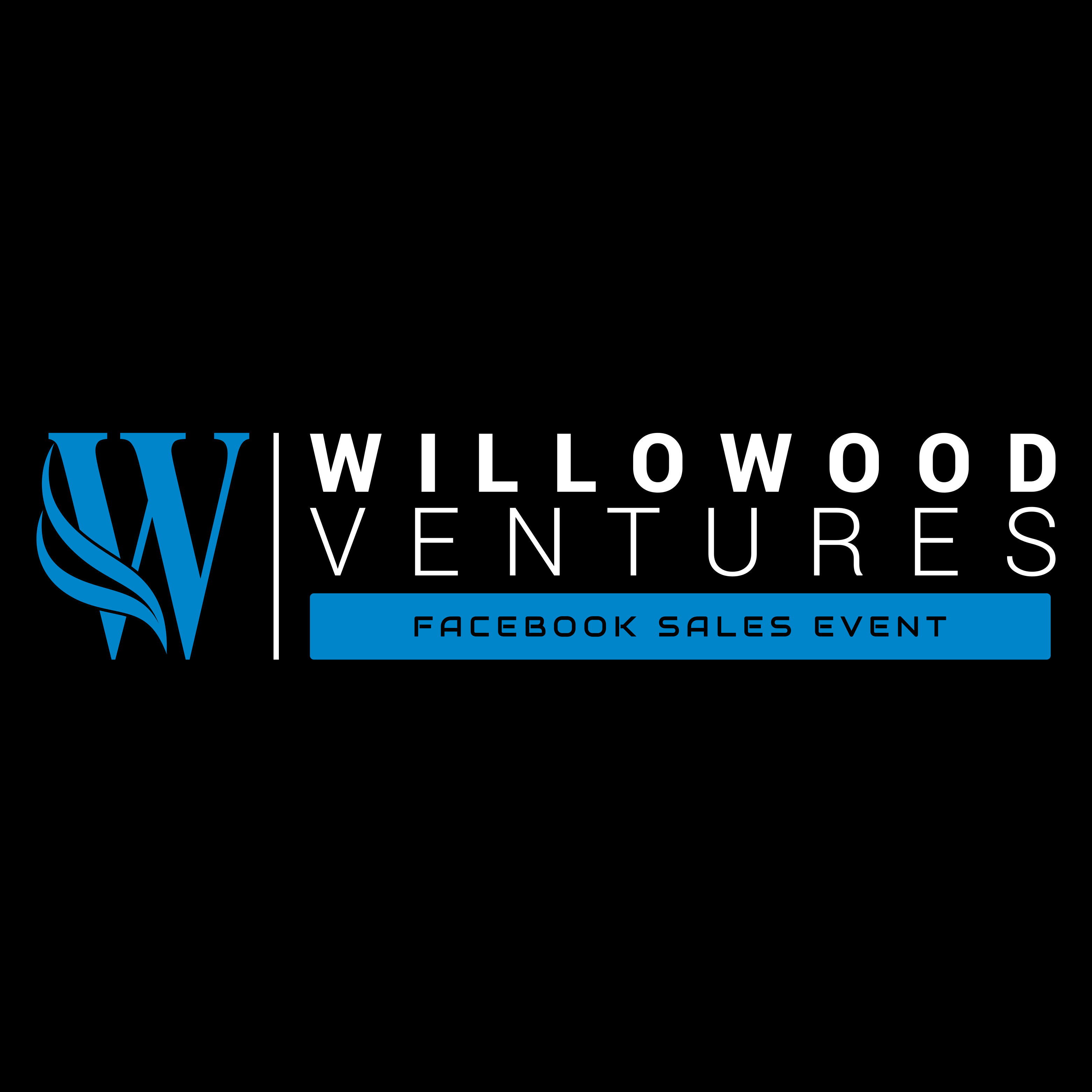 Willowood Ventures | Expert Auto Marketing & Dealer Services