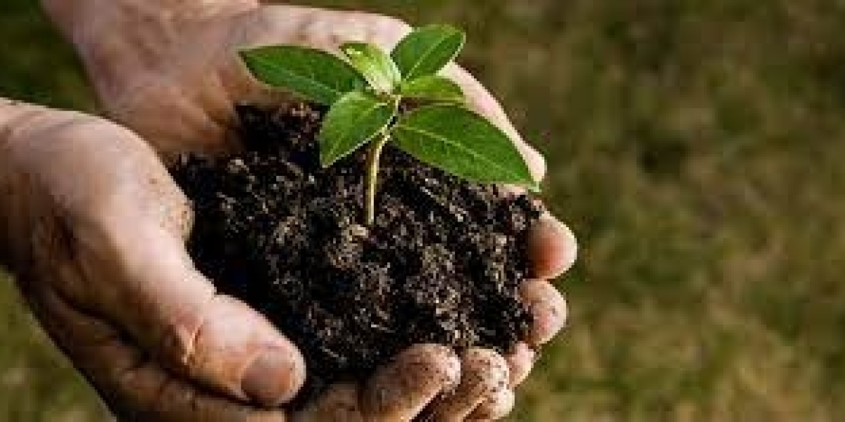 Biosolids Market Report, Trends and Global Forecast 2024-2032