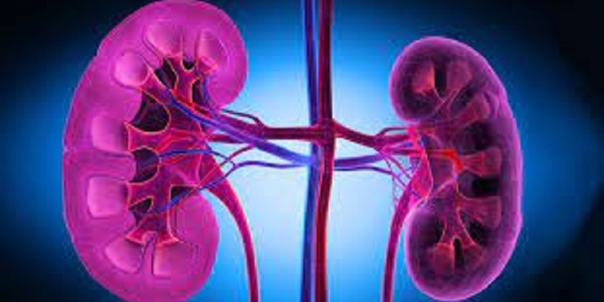 Lupus Nephritis Market Analysis Report 2024 Along with Statistics, Forecasts till 2034