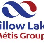 Willow Lakemetigroup profile picture