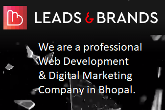 Best Web Development Company in Bhopal | Leads and Brands