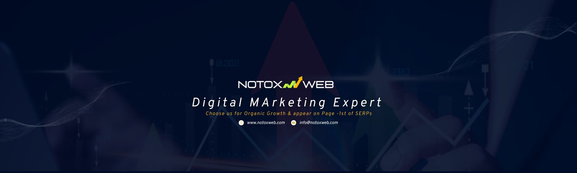 NoTox Web - Online Marketing Experts | Affordable Digital Solution