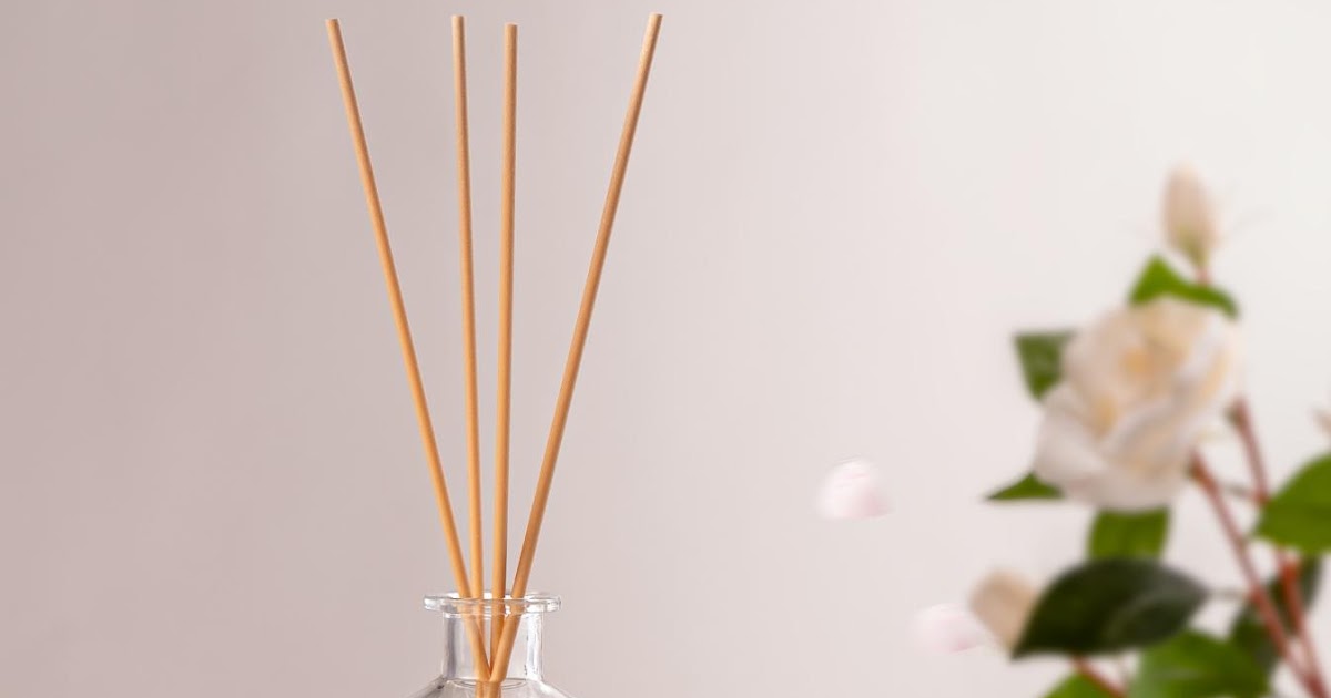 Discover the Best Air Fresheners and Home Fragrance