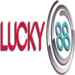 lucky88 baby Profile Picture