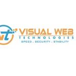 visual web Profile Picture