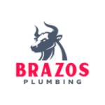 Plumbing companies near me profile picture