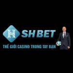 SHBET Casino Profile Picture